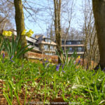 GPS: 50°46'39.7092" N 2°48'42.4548" E Altitude: 68,8 m - België -  -  Heuvelland -  -   -  -
