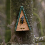 GPS: 50°46'41.3832" N 2°48'45.378" E Altitude: 150,5 m - België -  -  Heuvelland -  -   -  -