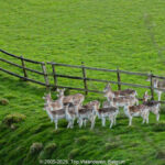 GPS: 50°46'40.098" N 2°48'43.686" E Altitude: 205,0 m - België -  -  Heuvelland -  -   -  -