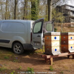 GPS: 50°46'40.0008" N 2°48'42.9984" E Altitude: 194,0 m - België -  -  Heuvelland -  -   -  -