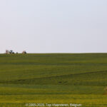 GPS: 50°45'58.8348" N 2°50'19.2408" E Altitude: 73,1 m -  -  -   -  -   -  -