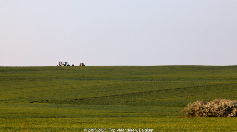 GPS: 50°45'58.8348" N 2°50'19.2408" E Altitude: 73,1 m -  -  -   -  -   -  -