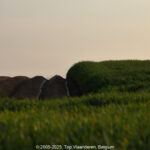 GPS: 50°46'8.0652" N 2°50'1.2588" E Altitude: 80,8 m -  -  -   -  -   -  -