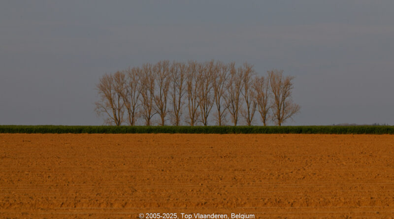 GPS: 50°46'23.9628" N 2°49'45.5088" E Altitude: 93,8 m -  -  -   -  -   -  -
