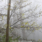 GPS: 50°46'40.5228" N 2°48'46.2312" E Altitude: 222,9 m - België -  -  Heuvelland -  -   -  -