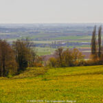 GPS: 50°46'35.292" N 2°48'36.3852" E Altitude: 100,2 m -  -  -   -  -   -  -