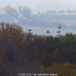 GPS: 50°39'16.254" N 3°23'58.9812" E Altitude: 152,7 m -  -  -   -  -   -  -