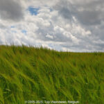 GPS: 50°48'40.5648" N 2°47'14.1" E Altitude: 0,0 m -  -  -   -  -   -  -
