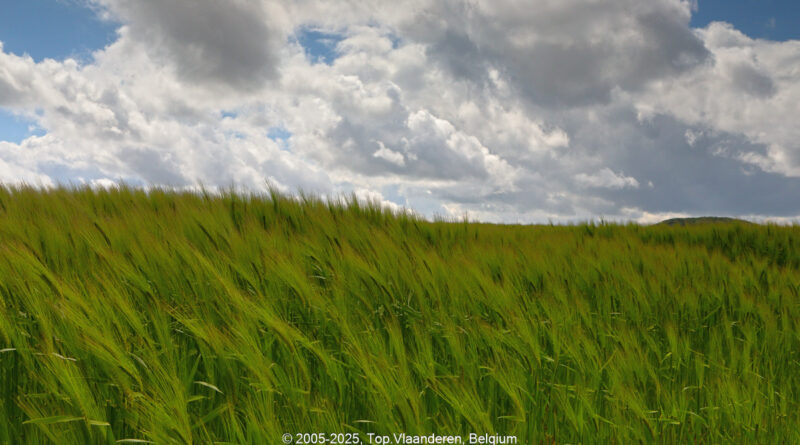 GPS: 50°48'40.5648" N 2°47'14.1" E Altitude: 0,0 m -  -  -   -  -   -  -