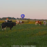 GPS: 50°48'11.3868" N 2°52'27.912" E Altitude: 24,8 m -  -  -   -  -   -  -