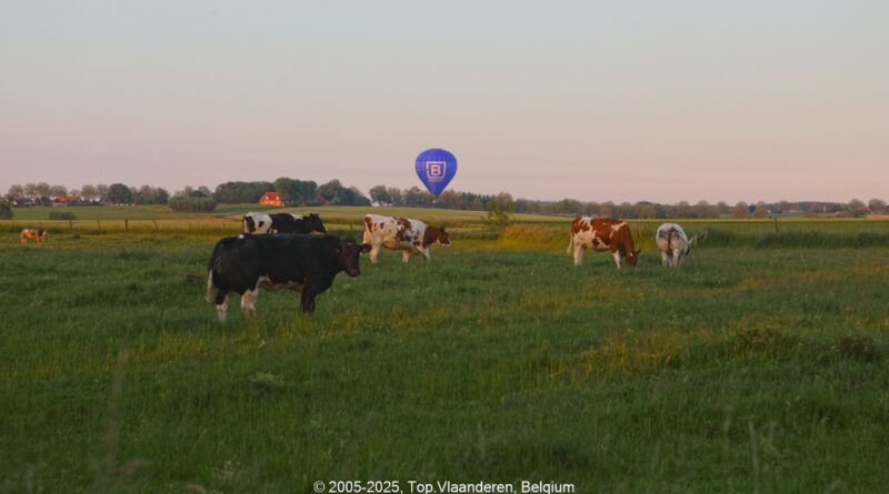 GPS: 50°48'11.3868" N 2°52'27.912" E Altitude: 24,8 m -  -  -   -  -   -  -