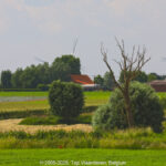 GPS: 50°55'5.2968" N 2°53'39.948" E Altitude: 8,9 m -  -  -   -  -   -  -