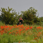 GPS: 50°54'12.2688" N 2°53'19.9752" E Altitude: 31,2 m -  -  -   -  -   -  -