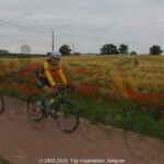 GPS: 50°47'54.384" N 2°47'24.27" E Altitude: 75,5 m -  -  -   -  -   -  -