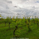 GPS: 50°46'19.0092" N 2°48'12.2328" E Altitude: 103,6 m -  -  -   -  -   -  -