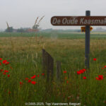 GPS: 50°53'7.0368" N 2°59'36.96" E Altitude: 66,8 m -  -  -   -  -   -  -