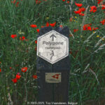 GPS: 50°53'11.6952" N 2°59'54.3012" E Altitude: 120,8 m -  -  -   -  -   -  -