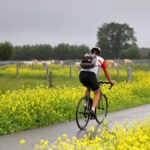 GPS: 50°53'53.0448" N 2°52'27.7248" E Altitude: 12,5 m -  -  -   -  -   -  -