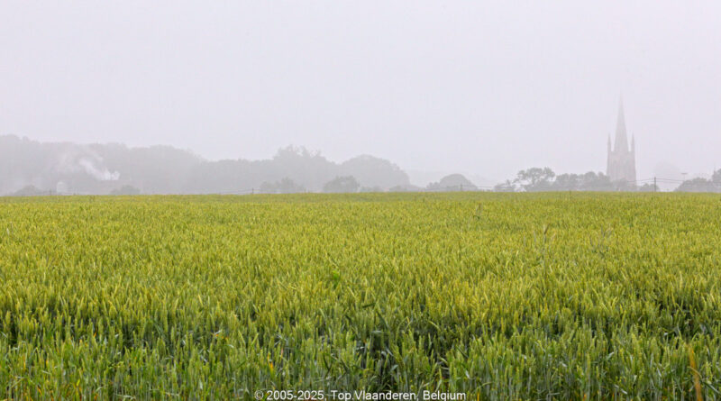 GPS: 50°54'14.3172" N 2°52'5.6352" E Altitude: 24,6 m -  -  -   -  -   -  -