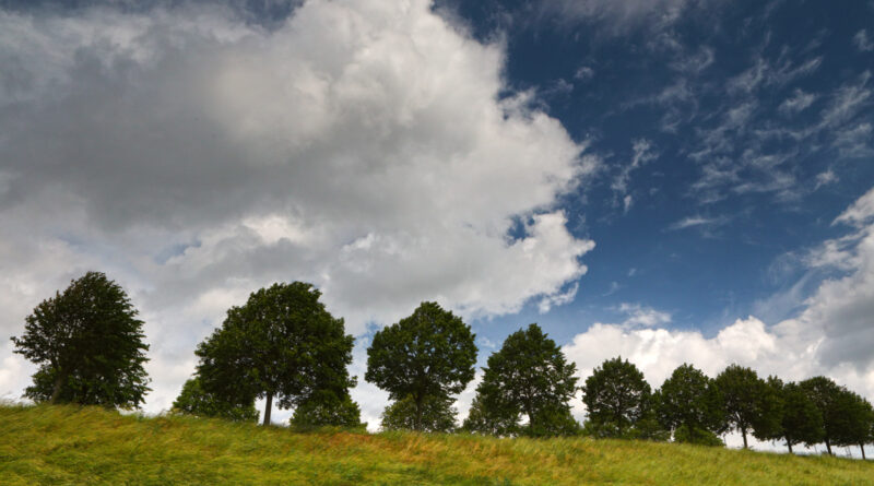 GPS: 50°51'56.988" N 2°56'26.1312" E Altitude: 28,0 m -  -  -   -  -   -  -