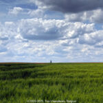 GPS: 50°45'43.4088" N 2°52'20.802" E Altitude: 43,7 m -  -  -   -  -   -  -