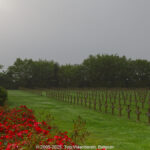 GPS: 50°51'47.7072" N 2°55'34.2012" E Altitude: 41,7 m -  -  -   -  -   -  -