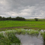 GPS: 50°56'51.4932" N 2°43'7.104" E Altitude: 112,4 m -  -  -   -  -   -  -