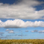 GPS: 50°59'19.14" N 2°35'51.0792" E Altitude: -8,1 m -  -  -   -  -   -  -
