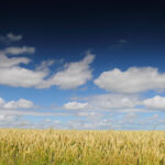 GPS: 50°59'34.3752" N 2°36'7.848" E Altitude: 3,2 m -  -  -   -  -   -  -
