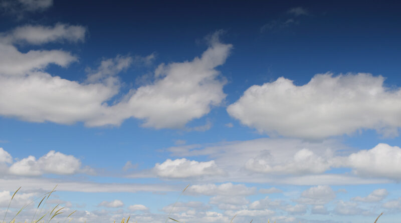 GPS: 50°59'34.3752" N 2°36'7.848" E Altitude: 3,2 m -  -  -   -  -   -  -