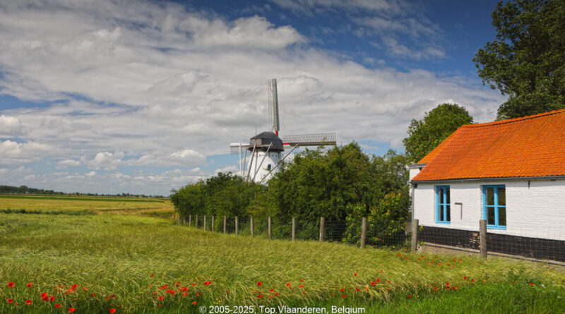 GPS: 51°2'58.866" N 2°36'45.0252" E Altitude: 1,5 m -  -  -   -  -   -  -