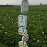 GPS: 50°46'54.2928" N 2°55'51.366" E Altitude: -17,7 m -  -  -   -  -   -  -
