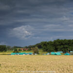 GPS: 50°46'55.8768" N 2°47'45.33" E Altitude: 73,8 m -  -  -   -  -   -  -