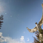 GPS: 50°52'45.5052" N 2°26'38.9508" E Altitude: 35,5 m -  -  -   -  -   -  -