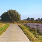 GPS: 51°1'15.762" N 2°37'21.3852" E Altitude: 0,8 m -  -  -   -  -   -  -