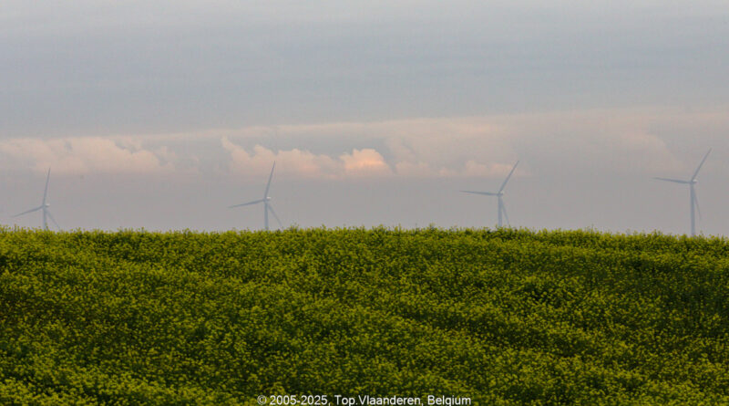 GPS: 50°47'54.294" N 2°47'24.4248" E Altitude: 51,4 m -  -  -   -  -   -  -
