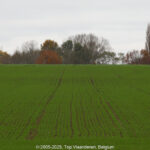 GPS: 50°49'17.67" N 2°51'59.3928" E Altitude: 35,7 m -  -  -   -  -   -  -
