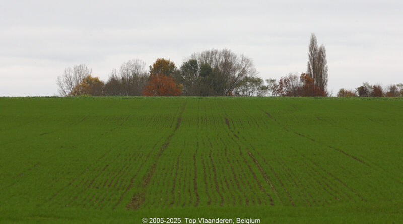 GPS: 50°49'17.67" N 2°51'59.3928" E Altitude: 35,7 m -  -  -   -  -   -  -
