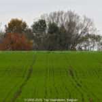 GPS: 50°49'17.67" N 2°51'59.3928" E Altitude: 35,7 m -  -  -   -  -   -  -