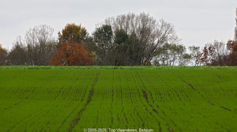 GPS: 50°49'17.67" N 2°51'59.3928" E Altitude: 35,7 m -  -  -   -  -   -  -