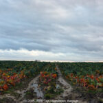 GPS: 50°45'11.34" N 2°48'2.754" E Altitude: 57,4 m -  -  -   -  -   -  -