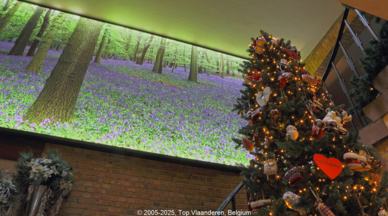 GPS: 50°46'40.9332" N 2°48'44.8812" E Altitude: 195,3 m - België -  -  Heuvelland -  -   -  -