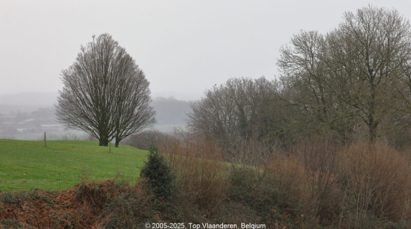 GPS: 50°47'1.482" N 2°45'26.2908" E Altitude: 122,4 m -  -  -   -  -   -  -