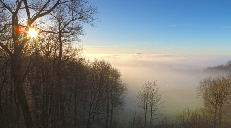 GPS: 50°46'41.358" N 2°48'45.9108" E Altitude: 129,0 m - België -  -  Heuvelland -  -   -  -