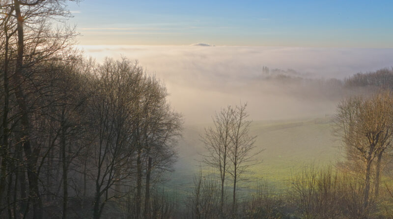 GPS: 50°46'41.3472" N 2°48'45.8352" E Altitude: 141,2 m - België -  -  Heuvelland -  -   -  -