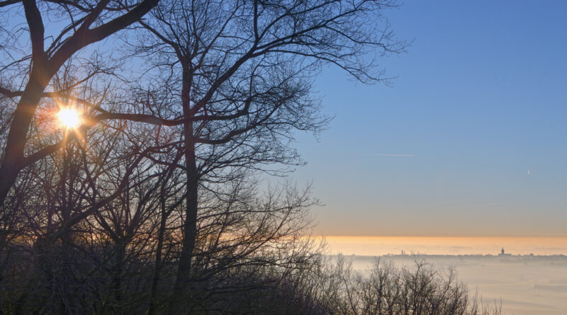 GPS: 50°46'41.8692" N 2°48'45.1872" E Altitude: 152,4 m - België -  -  Heuvelland -  -   -  -