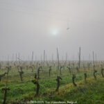 GPS: 50°47'2.4612" N 2°45'4.1148" E Altitude: 108,7 m -  -  -   -  -   -  -