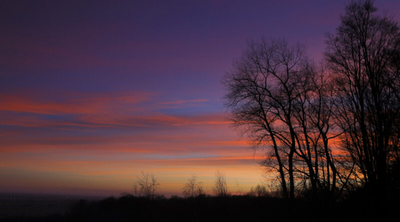 GPS: 50°46'41.8332" N 2°48'45.828" E Altitude: 128,9 m - België -  -  Heuvelland -  -   -  -