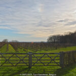 GPS: 50°49'10.6572" N 2°56'41.964" E Altitude: 51,1 m -  -  -   -  -   -  -
