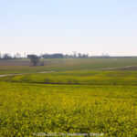 GPS: 50°47'59.496" N 2°55'57.0108" E Altitude: 37,5 m -  -  -   -  -   -  -